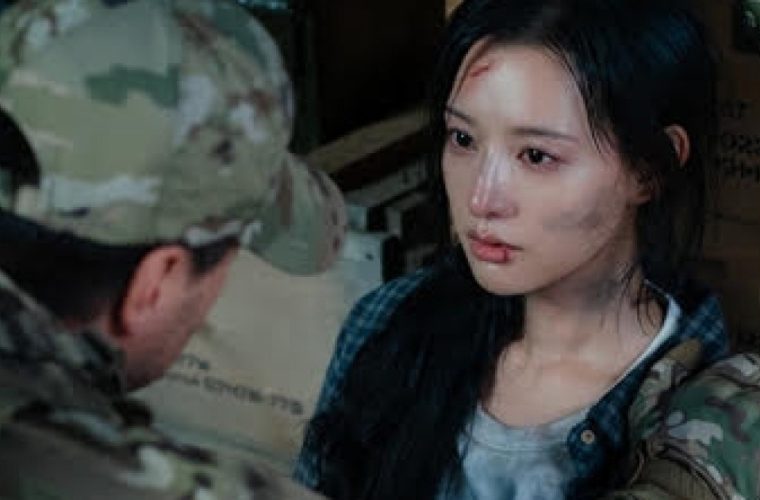 기사 관련 검토용 사진